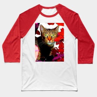 Cat on the Tree Baseball T-Shirt